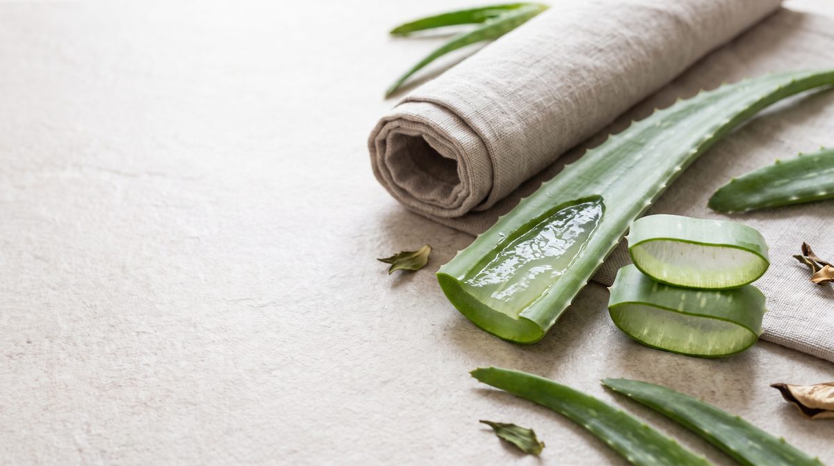 Foglie di aloe vera, alcune tagliate per mostrare il gel, e un panno di lino arrotolato su una superficie chiara.