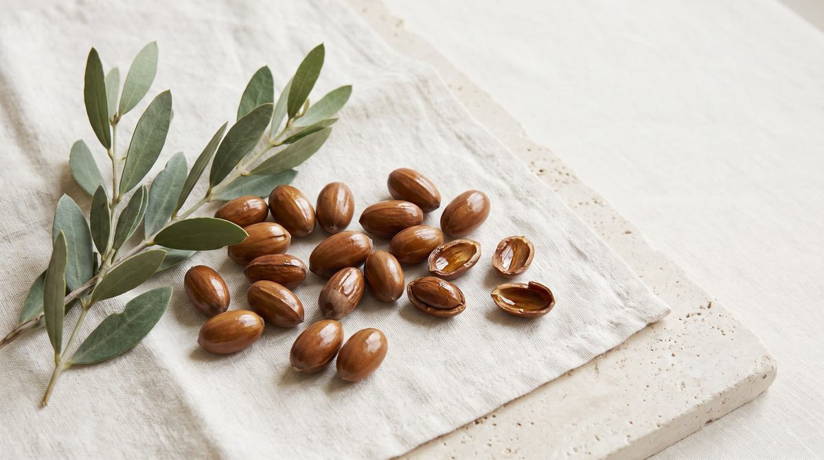 Semi di jojoba lucidi e un ramo con foglie verdi sono disposti su un panno di lino chiaro e una lastra di pietra.